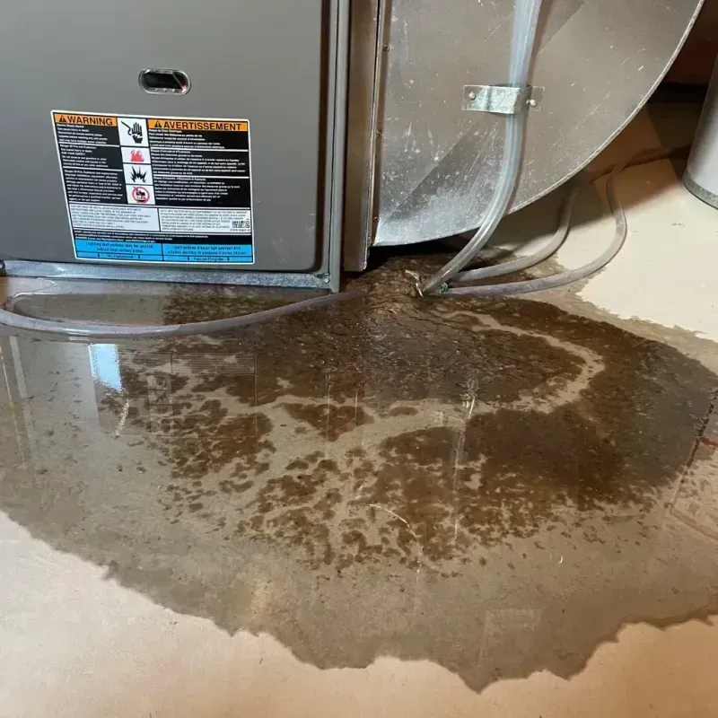 Appliance Leak Cleanup in Hudson, NY